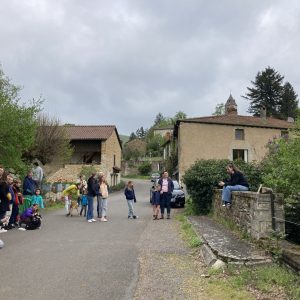 IMG-0762