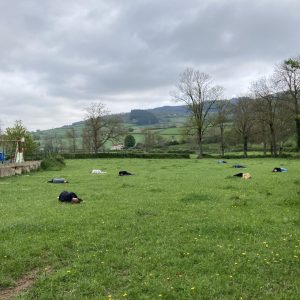 IMG-0768