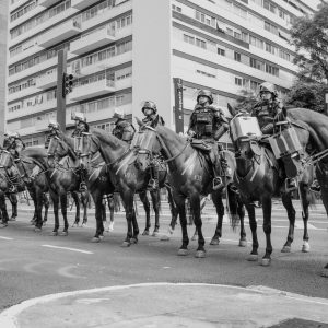 pexels-cristianossilva-31656581