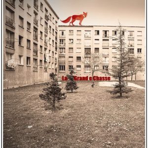 visuel-grande-chasse-sans-texte-600x647